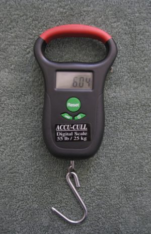 Accu Cull Digital Scale Review