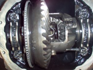 Rear Differential Gears