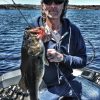 Tips for Catching Early Spring Bass