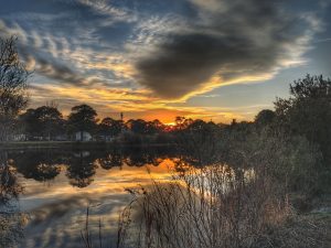 Small pond with small bass